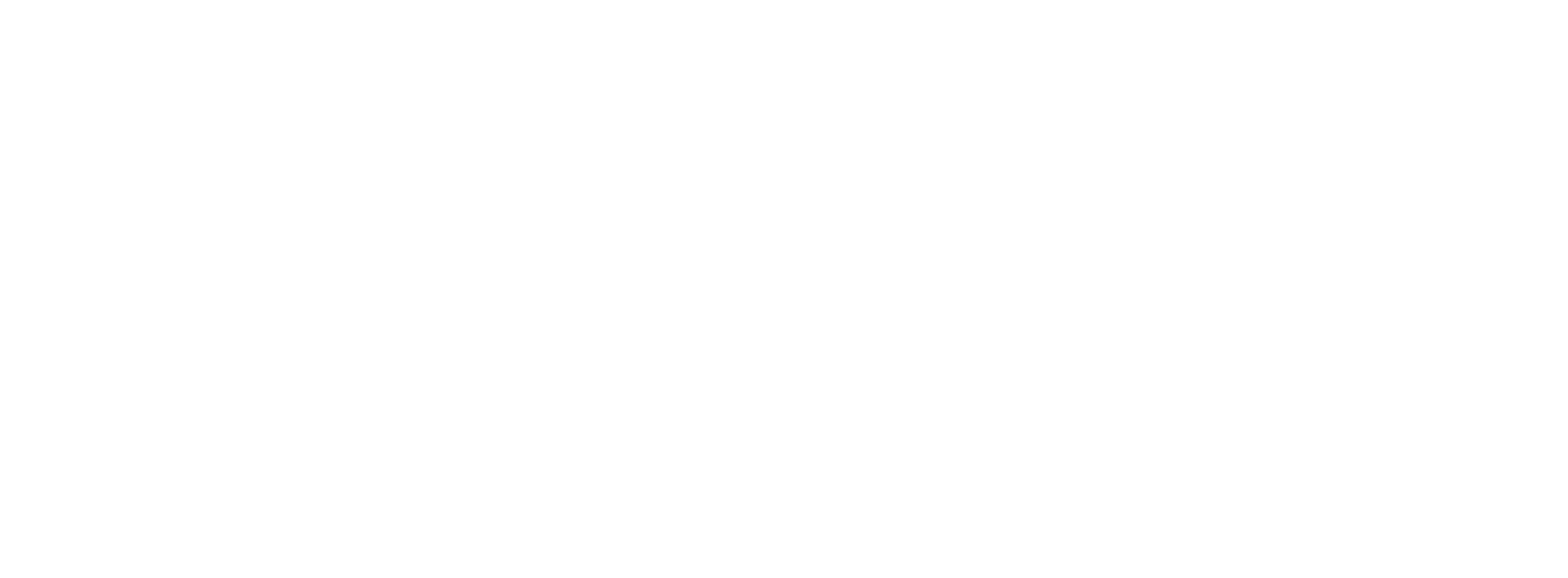 La Shirtz